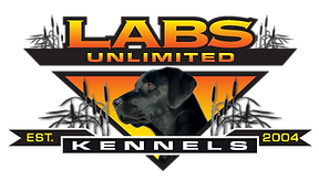 LUK_6_RGB-300.png