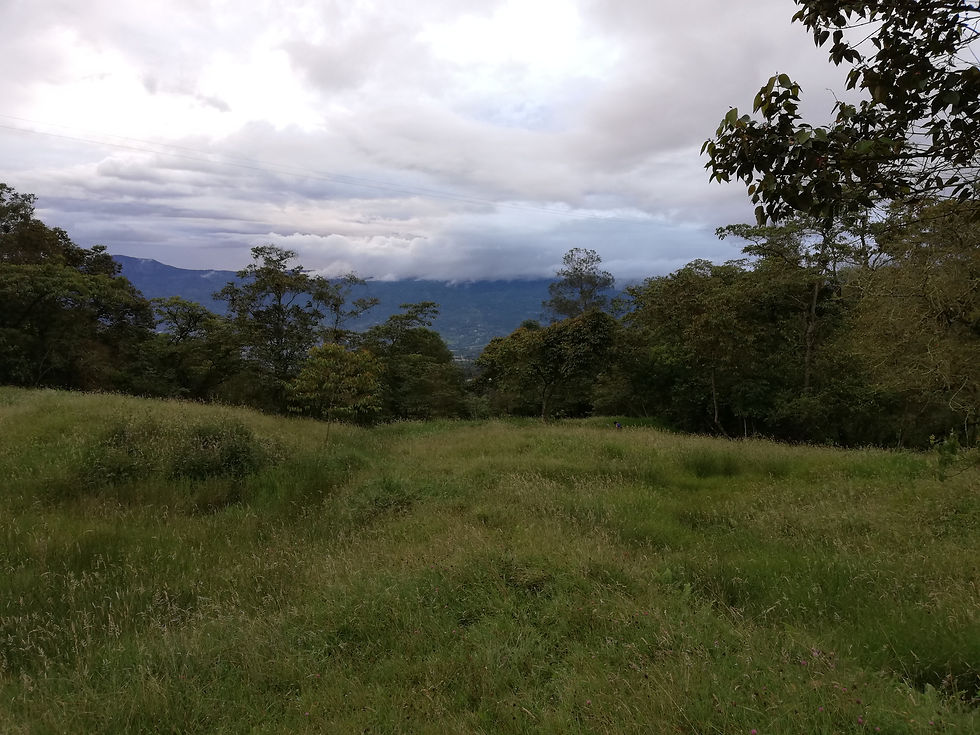 Finca en fusagasuga - Altos de Pekin