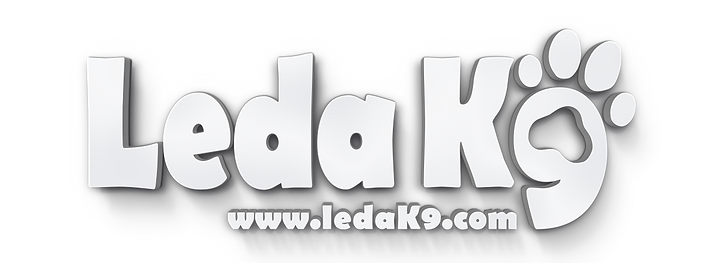 Leda_3D Text.png