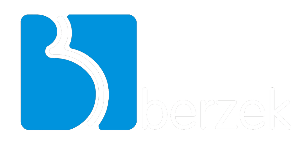 logotipo da berzek eletronica