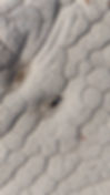 dji_fly_20231230_135340_0053_1703999047893_photo_edited.jpg