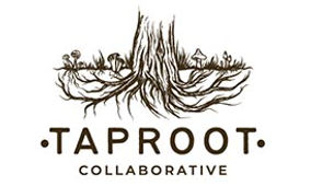 Taproot.jpg