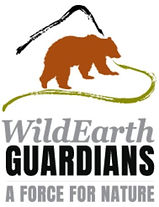 WildEarth Guardians Logo.jpg
