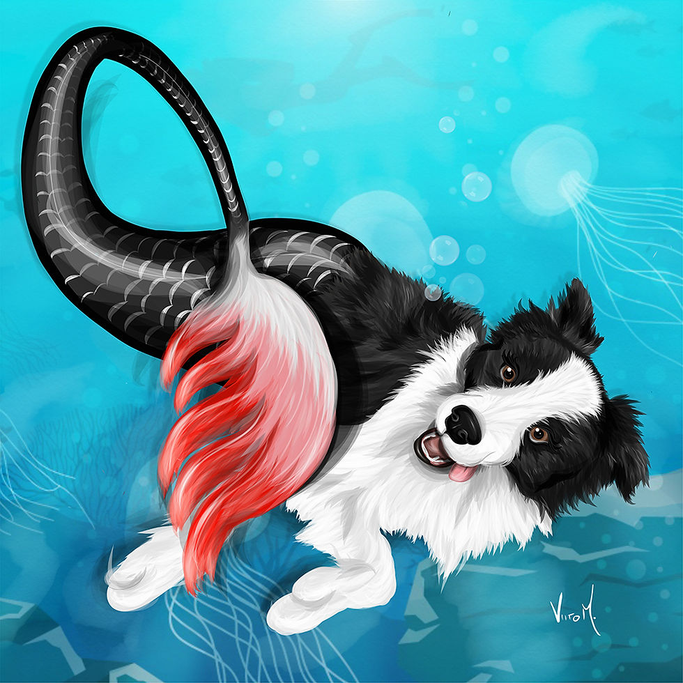 Bordie Collie