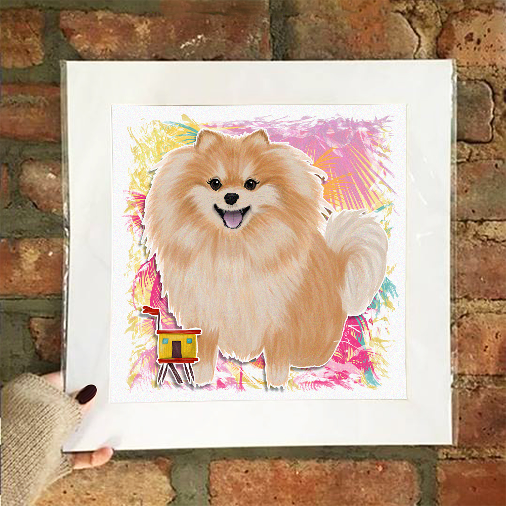 Poster / MIAMI - Pomeranian