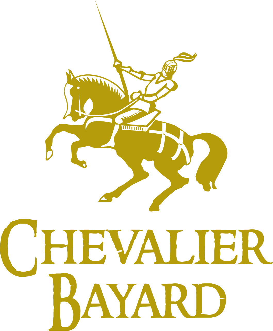 (c) Chevalier-bayard.ch