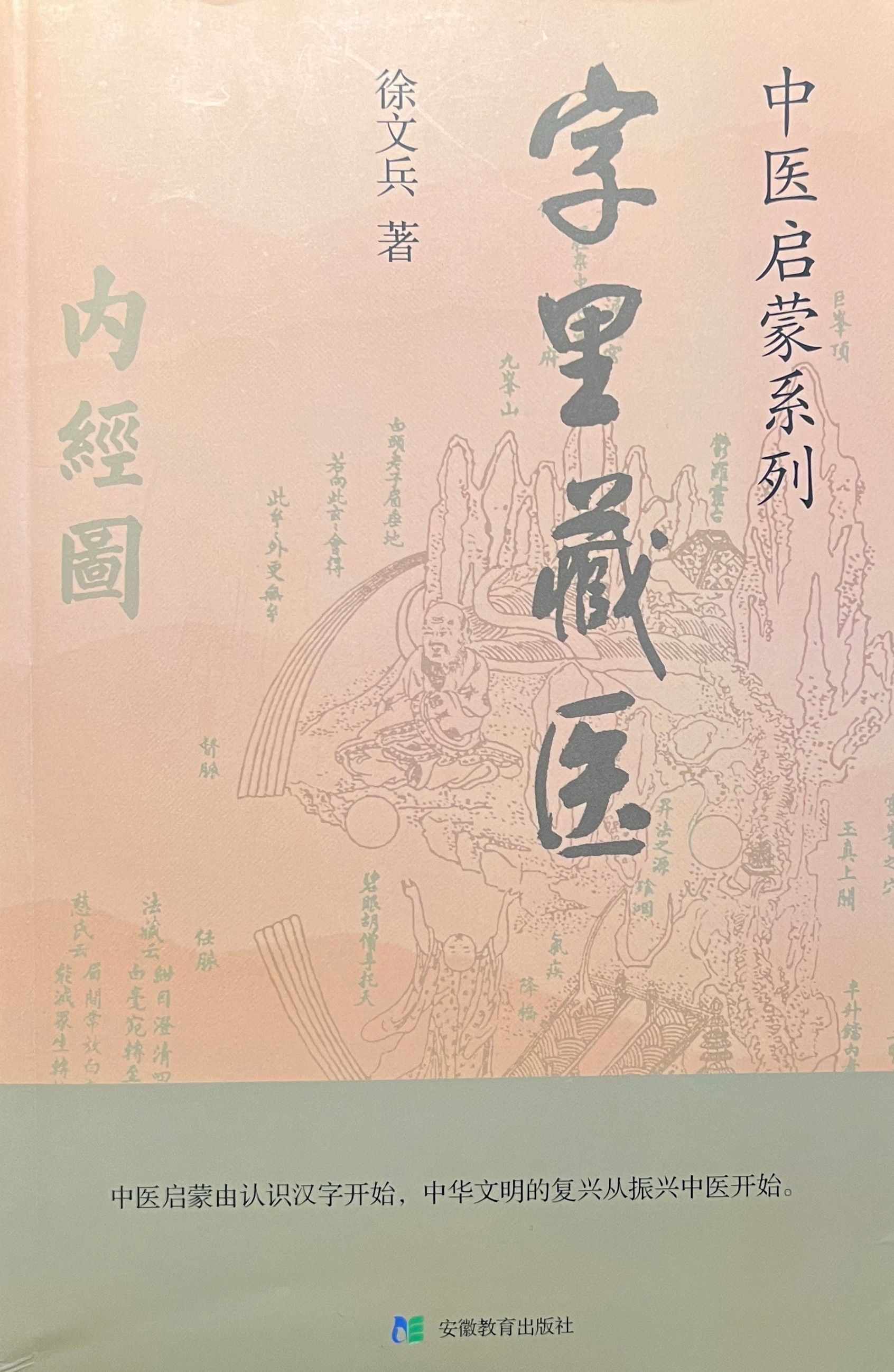 字里藏醫（簡體）