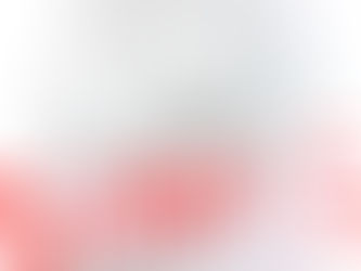 【📢展覽限定親繪簽名板競標規則】