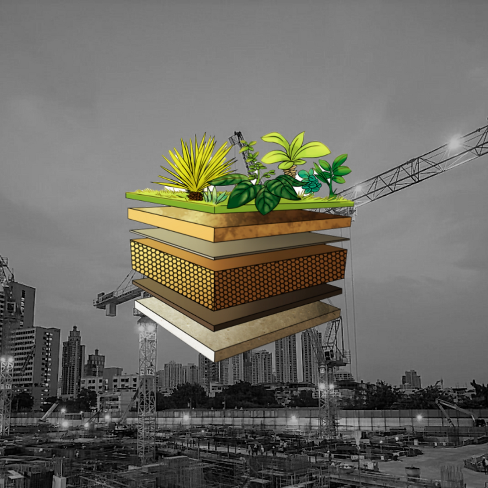 Telhados Verdes: uma "floresta" de vantagens