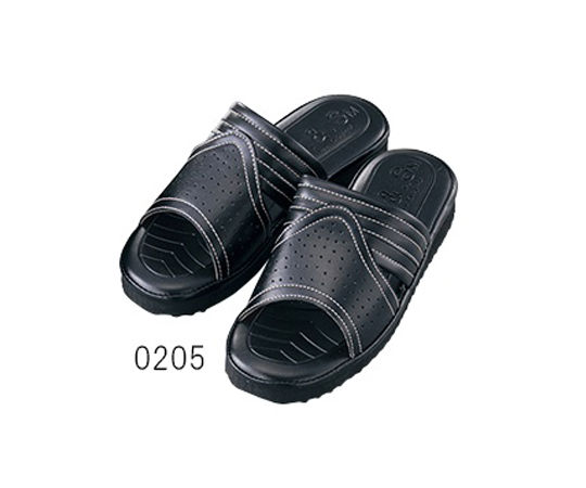 Sandals For Researchers 205