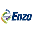 Enzo