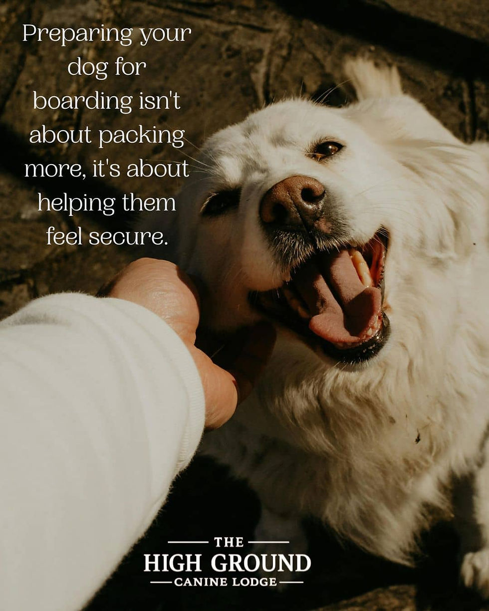 Happy white dog receiving affection before boarding with a message about helping dogs feel secure.