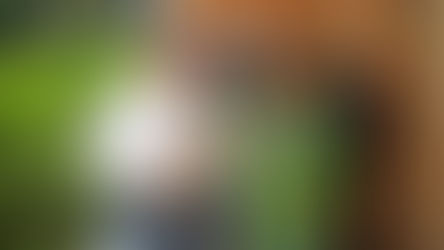 Miembros del Parlamento Europeo se reúnen con líderes y lideresas defensoras de DDHH y territorio