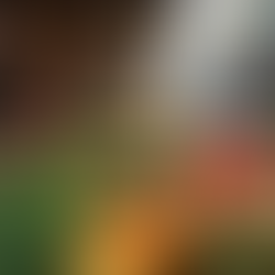 Local SEO 2025: So wirst du in deiner Stadt bei Google gefunden