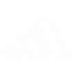 Partner logo Runway  (4).png