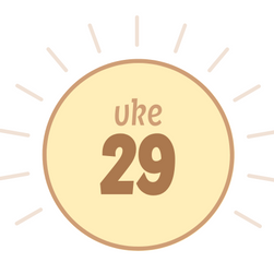 Uke 29