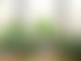 You’re Basically a House Plant with More Complicated Emotions