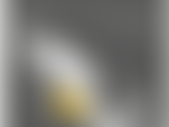 México, líder mundial en producción de aguacate