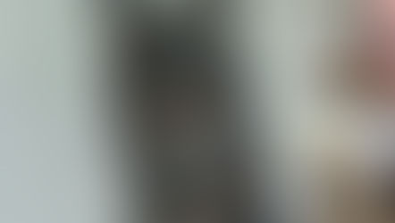 Les couleurs commencent à donner vie à notre loup solitaire au regard sauvage