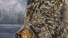 Main de Pascal Bourgouin tenant un pinceau devant un portrait de loup en cours de réalisation, peinture animalière à l’huile.