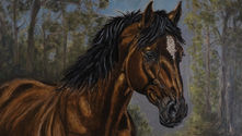 Portrait de cheval peint à l’huile par Pascal Bourgouin, représentant son univers de peinture animalière autour de l’émotion et de la présence animale.