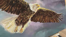 Vidéo montrant la deuxième couche de peinture à l'huile d'un aigle américain sur une toile 25P. Les volumes, les valeurs et les couleurs commencent à révéler toute la puissance du regard de l'oiseau.