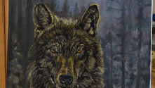 Coulisses de l'atelier, notre loup solitaire est prêt pour l'exposition