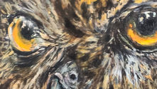 Détail d’un portrait de hibou peint à l’huile par Pascal Bourgouin, mettant en valeur le regard, le bec, la lumière et le volume.