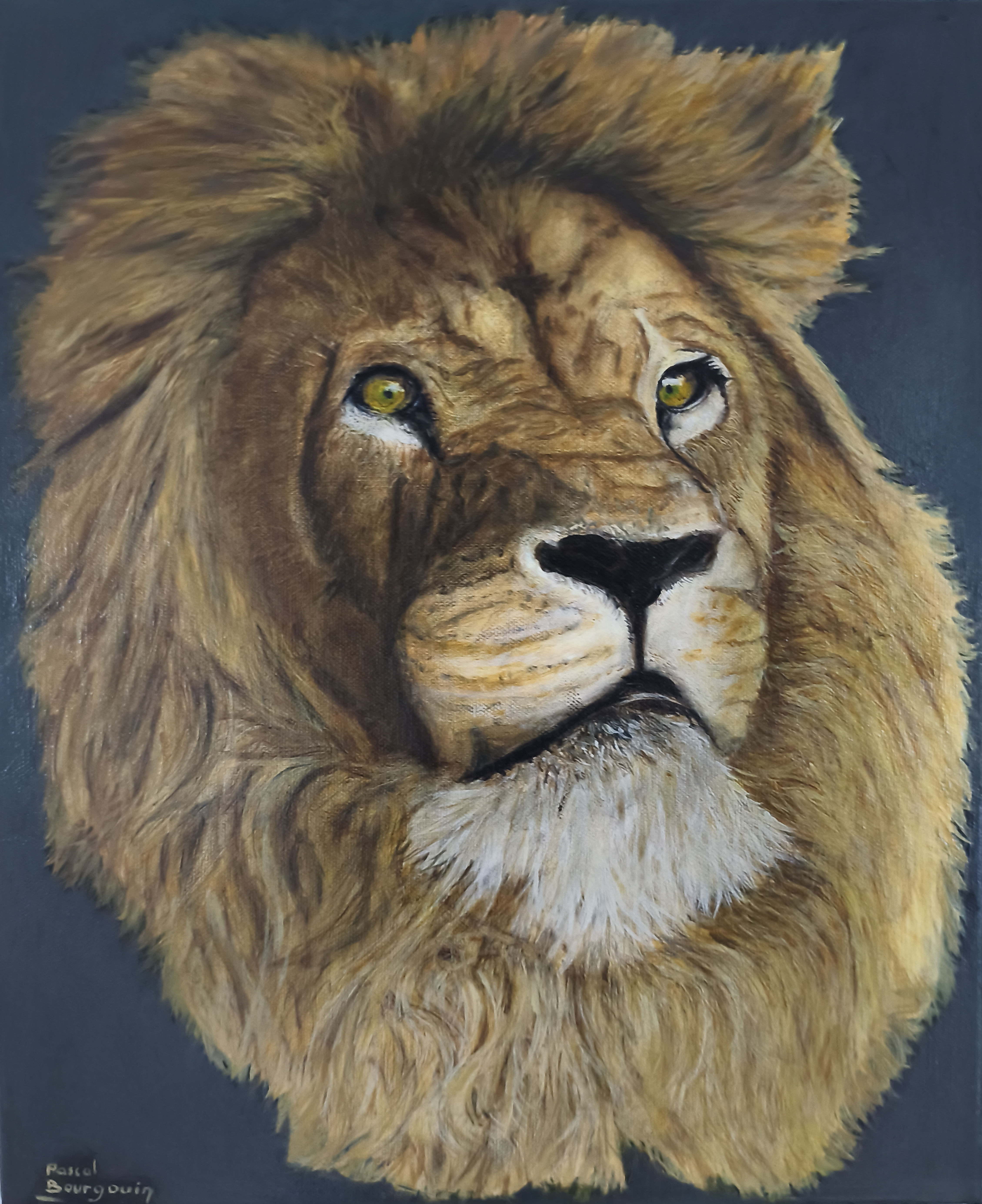 Le roi de la jungle