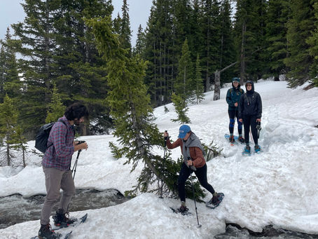 Fun Group Activities in Denver That Nobody Puts on a List