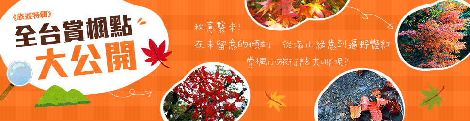 楓葉特輯