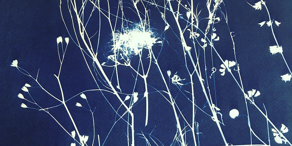 August Box - Cyanotype - View Only Pass