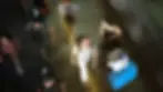 ree