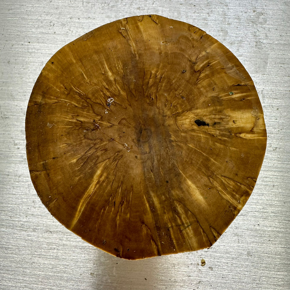 Thumbnail: Masur Birch Log Round 4" x 3"