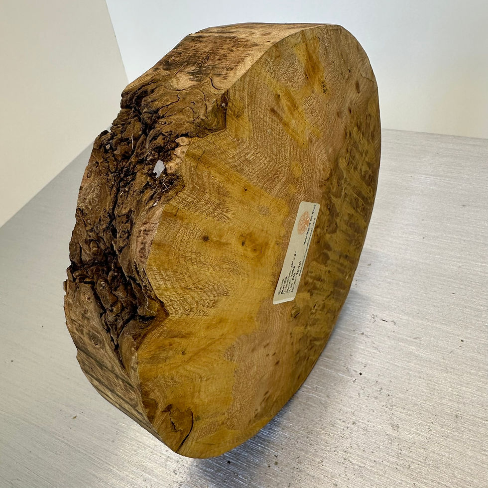 Thumbnail: WOW Elm Burr 10" x 2"