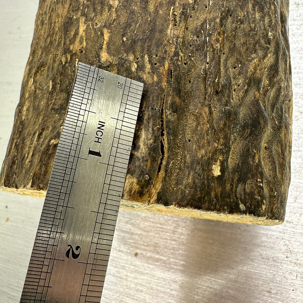 Thumbnail: Masur Birch Whole Log 10" x 4.5"