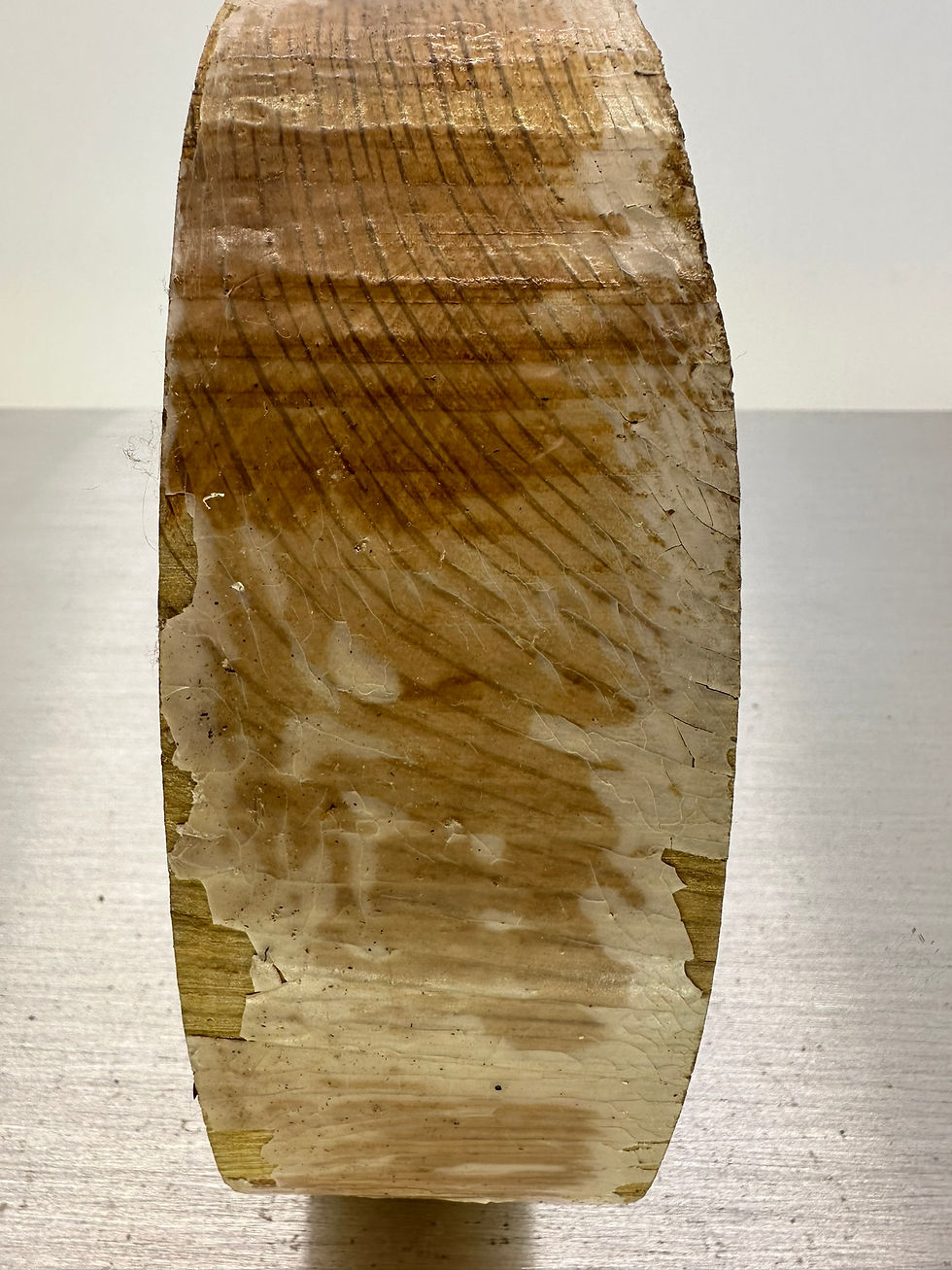 Thumbnail: Stunning Holm Oak blank 9" x 2.25"