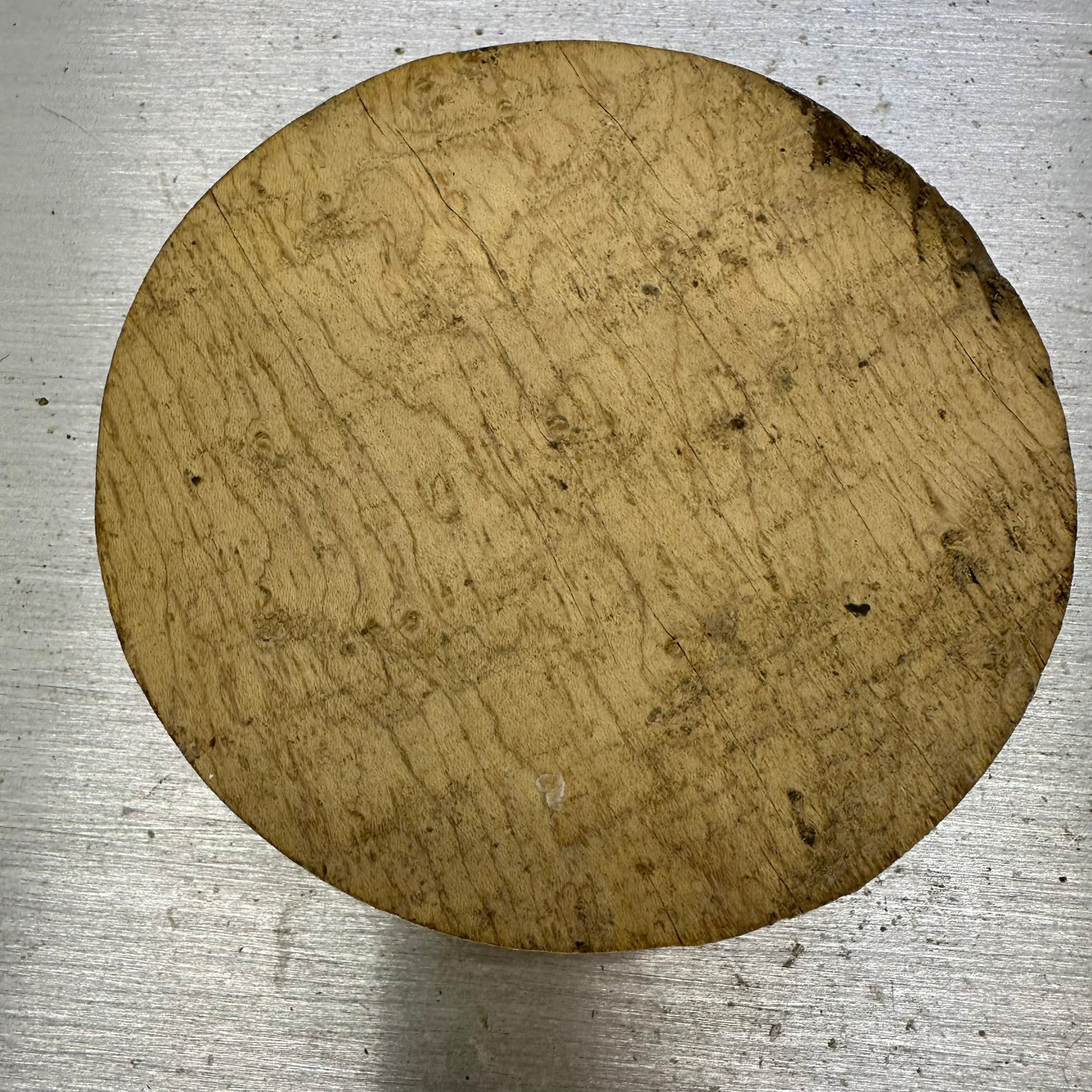 Birds Eye Maple Blank 6" x 2"