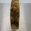 Thumbnail: WOW Elm Burr 10" x 2"
