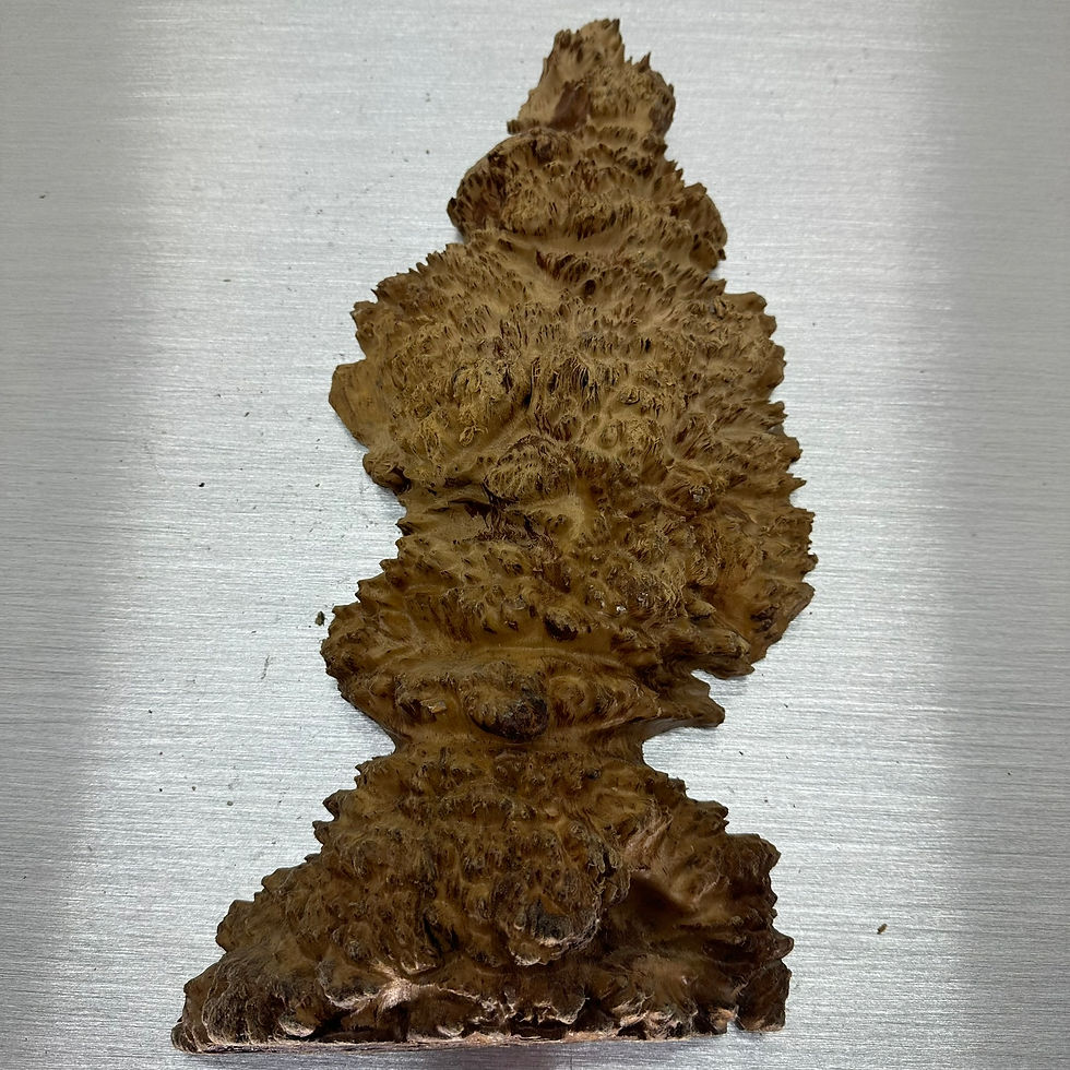 Thumbnail: Coolibah Burl 14" x 6" x 2"