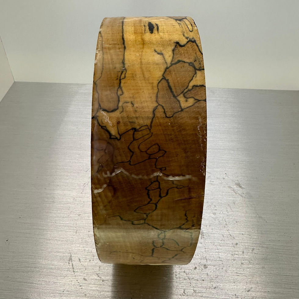 Thumbnail: Giant Splated Beech Blank 12" x 4"