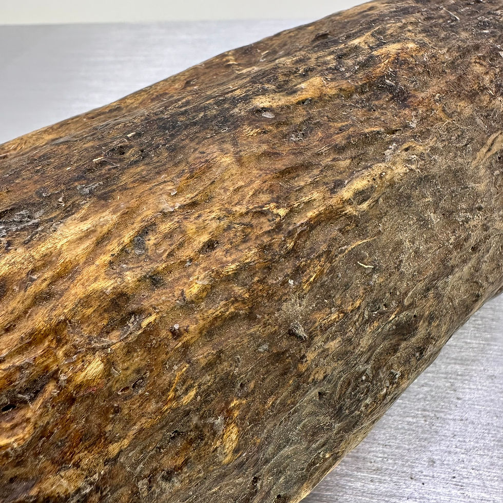 Thumbnail: Masur Birch Whole Log 10" x 4.5"