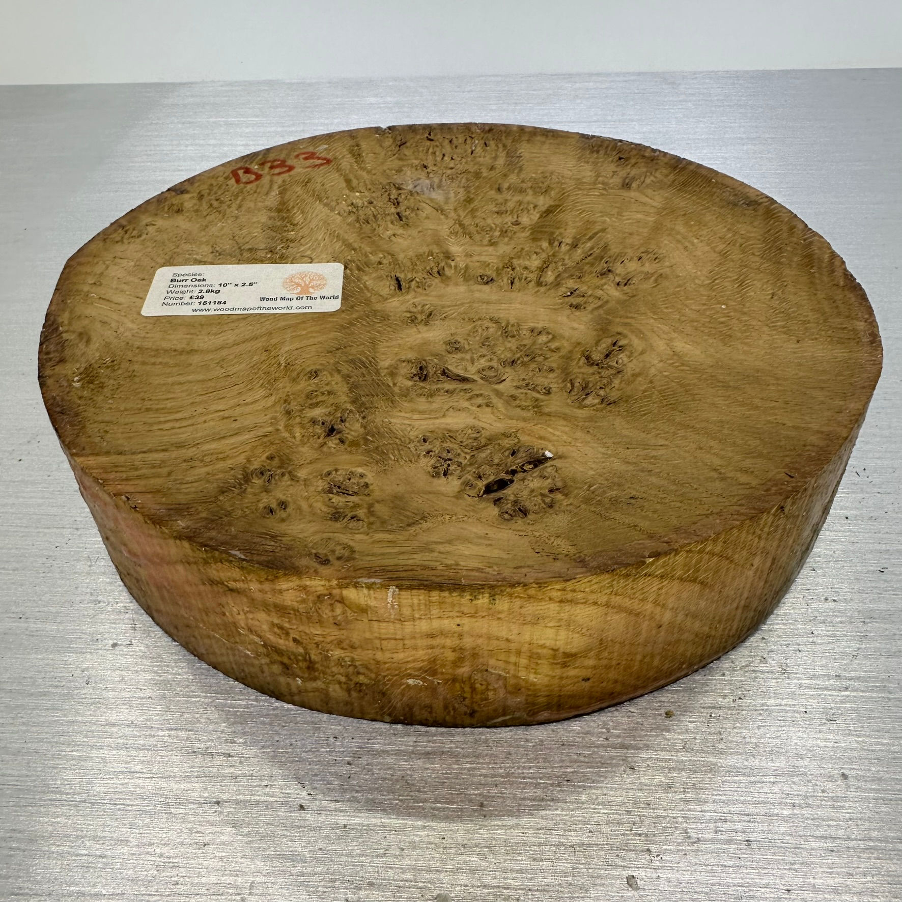 Big Oak Burr 10" x 2.5"