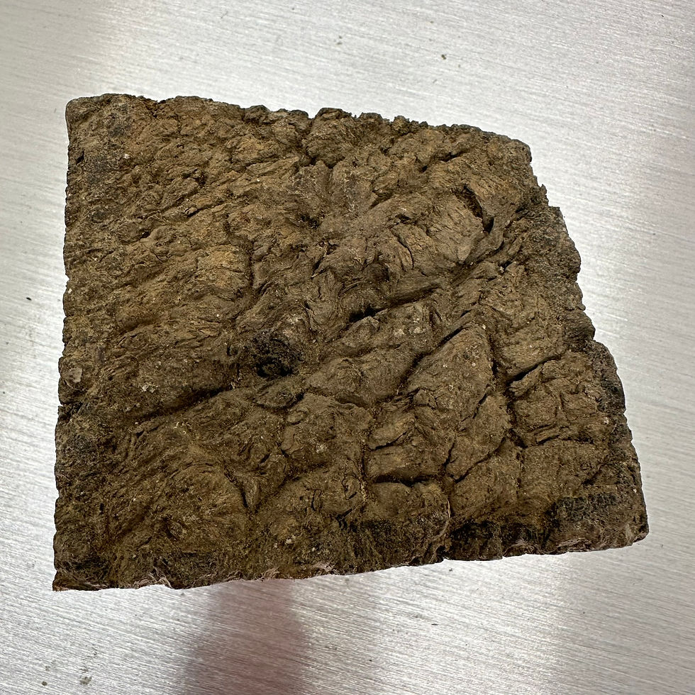 Thumbnail: Big Chunk of all Burr Jarrah 5" x 5" x 5"