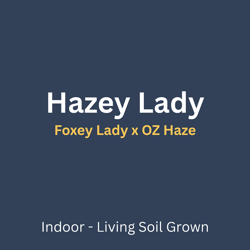 Hazey Lady