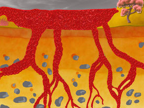 Mimetas launches OrganoAccess™ perfusable vascular bed for advanced 3D tissue modeling