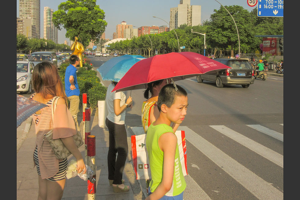 上海的夏天 Summer in Shanghai 2014