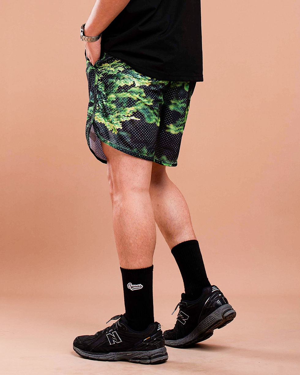 Miniatura: Nature Short Trees