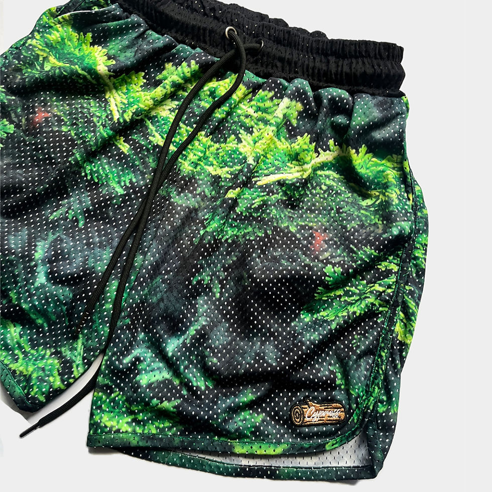 Miniatura: Nature Short Trees