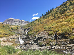 Cameron in Telluride
